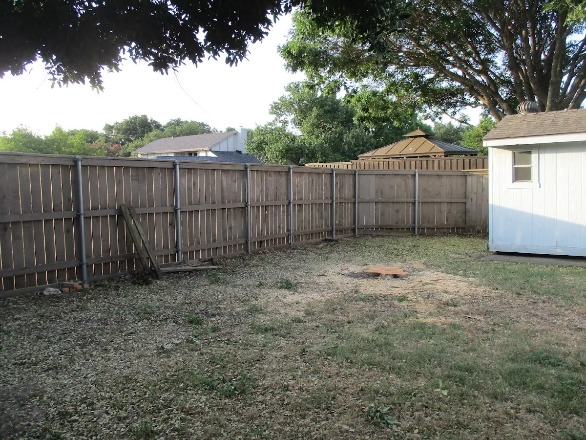 Cleared yard after professional tree removal in Kelleys Island